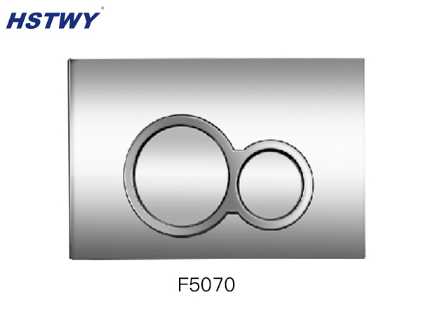 F5070 Dual Flush Plate
