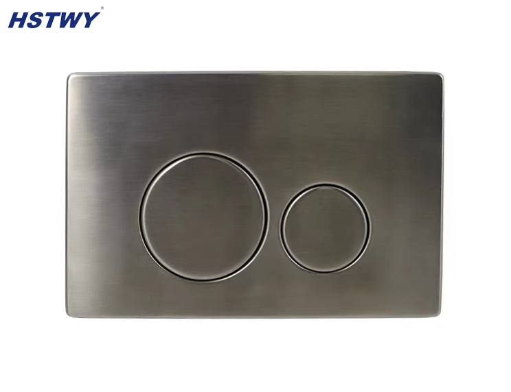 F5010 Stainless Steel Dual Flush Plate 